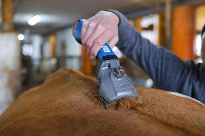 AESCULAP Akkuschermaschine Bonum Rind inkl. 1 Akku